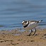 thumbs/IMG_4543.JPG